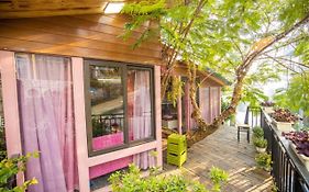 Roses Tam Dao - Venuestay